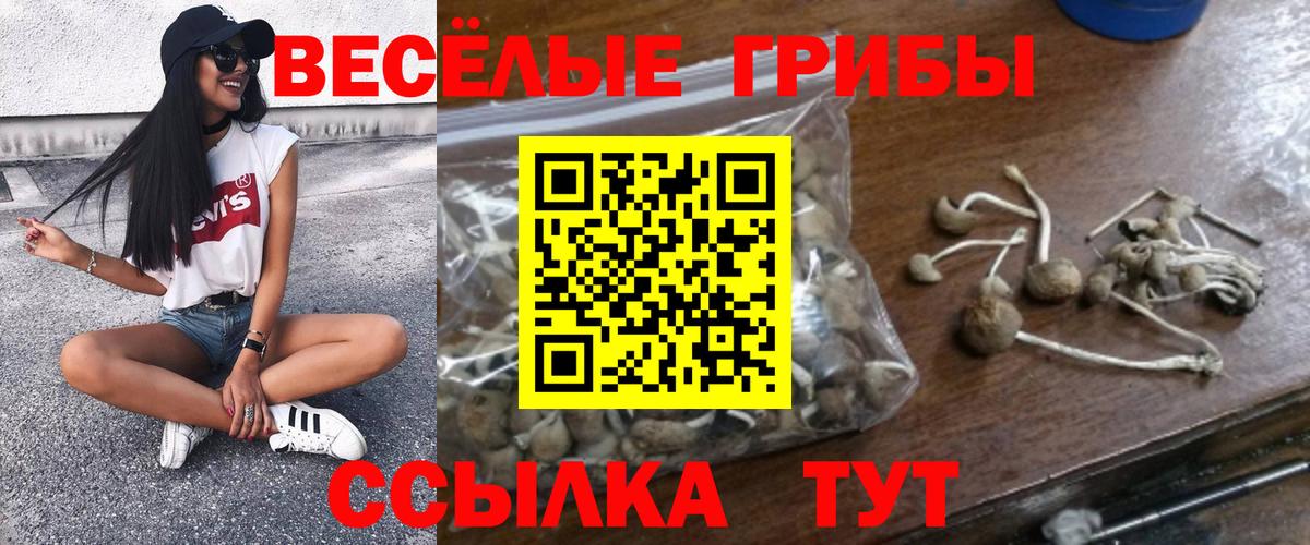 Галлюциногенные грибы ЛСД Элиста