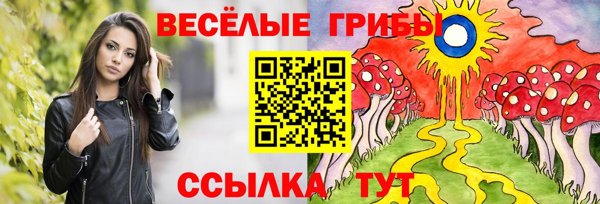 Элиста  Псилоцибиновые грибы Cubensis  Вход с VPN  Псилоцибиновые грибы Magic Shrooms 